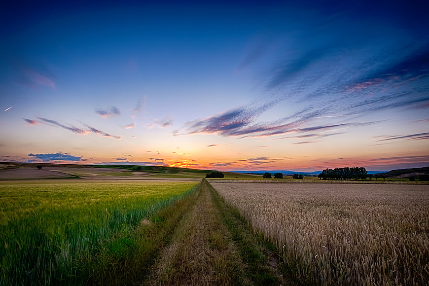 Sunset over rolling fields with dirt path and dramatic sky