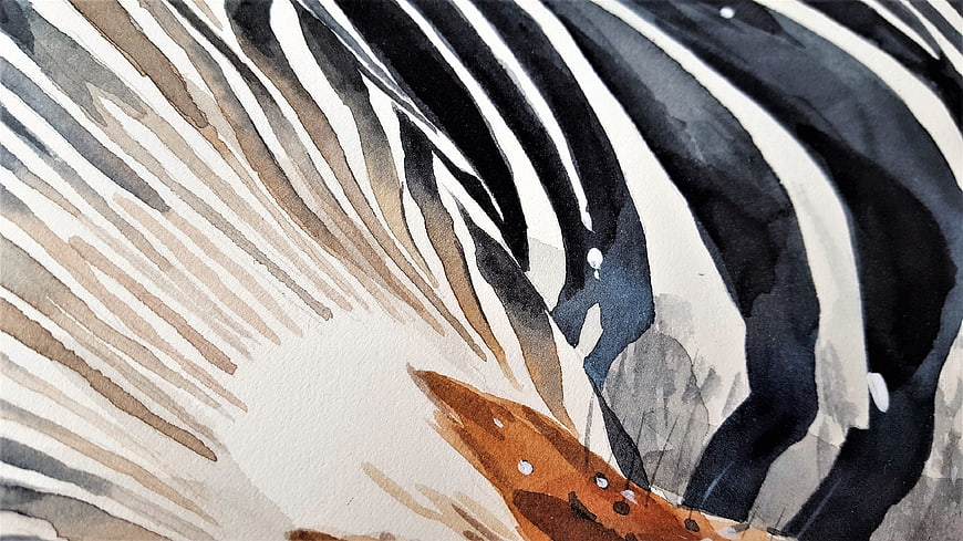 Abstract watercolor zebra stripes art detail