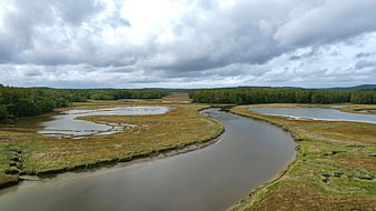 Aerial View of Winding River Through Wetlands