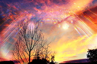 Silhouette of bare tree against vibrant sunset sky with light rays