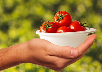 Hand holding bowl of fresh red tomatoes outdoors