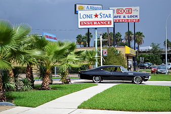 Black classic car parked on street with palm trees and billboards