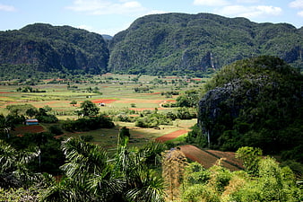 Viñales Valley Cuba Landscape With Limestone Mountains And Agricultural Fields