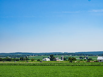 Wide rural landscape with green fields and farm buildings