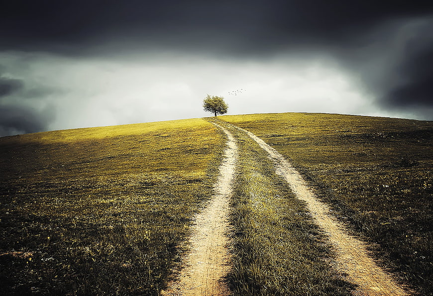 Lone Tree on Hilltop with Dirt Path Under Stormy Sky
