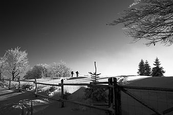 Black and white winter landscape with hikers on snowy hill
