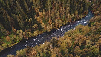 Aerial View of River Winding Through Autumn Forest
