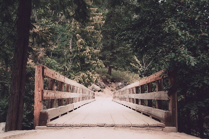 Rustic Wooden Bridge in Forest