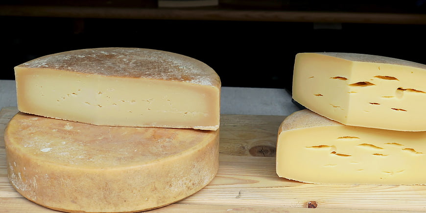 Fresh Gouda Cheese Wheels And Slices On Wooden Board