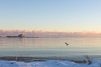 Seagull Flying Over Frozen Winter Sea with Lighthouse at Sunset