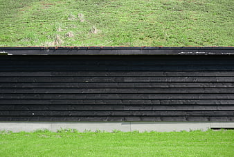 Black wooden wall with green grass texture background