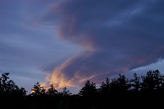 Dramatic sunset clouds over dark forest silhouette