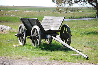 Vintage wooden wagon in grassy field