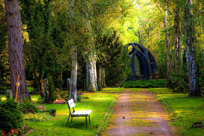 Serene park path with bench and modern sculpture