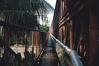 Rusty metal bridge walkway with tropical palm trees