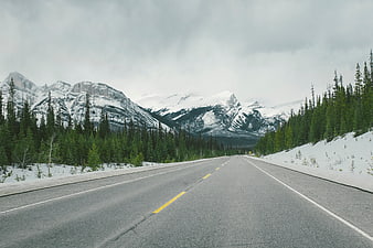 Snowy Mountain Road with Pine Forest and Overcast Sky
