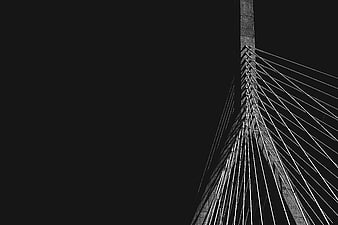 Black and White Cable-Stayed Bridge Tower Architecture