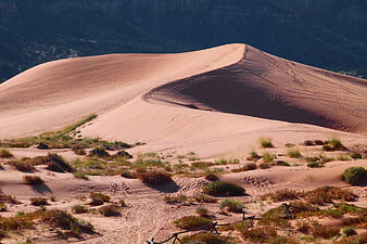 Sweeping Sand Dunes in Arid Desert Landscape