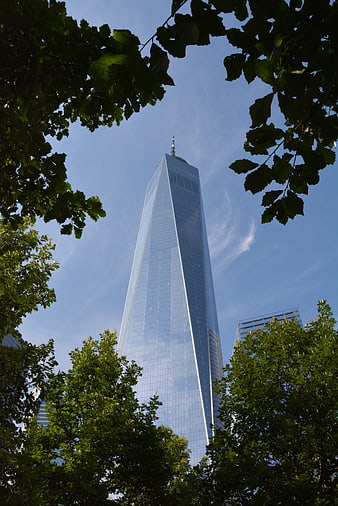 One World Trade Center framed by green trees