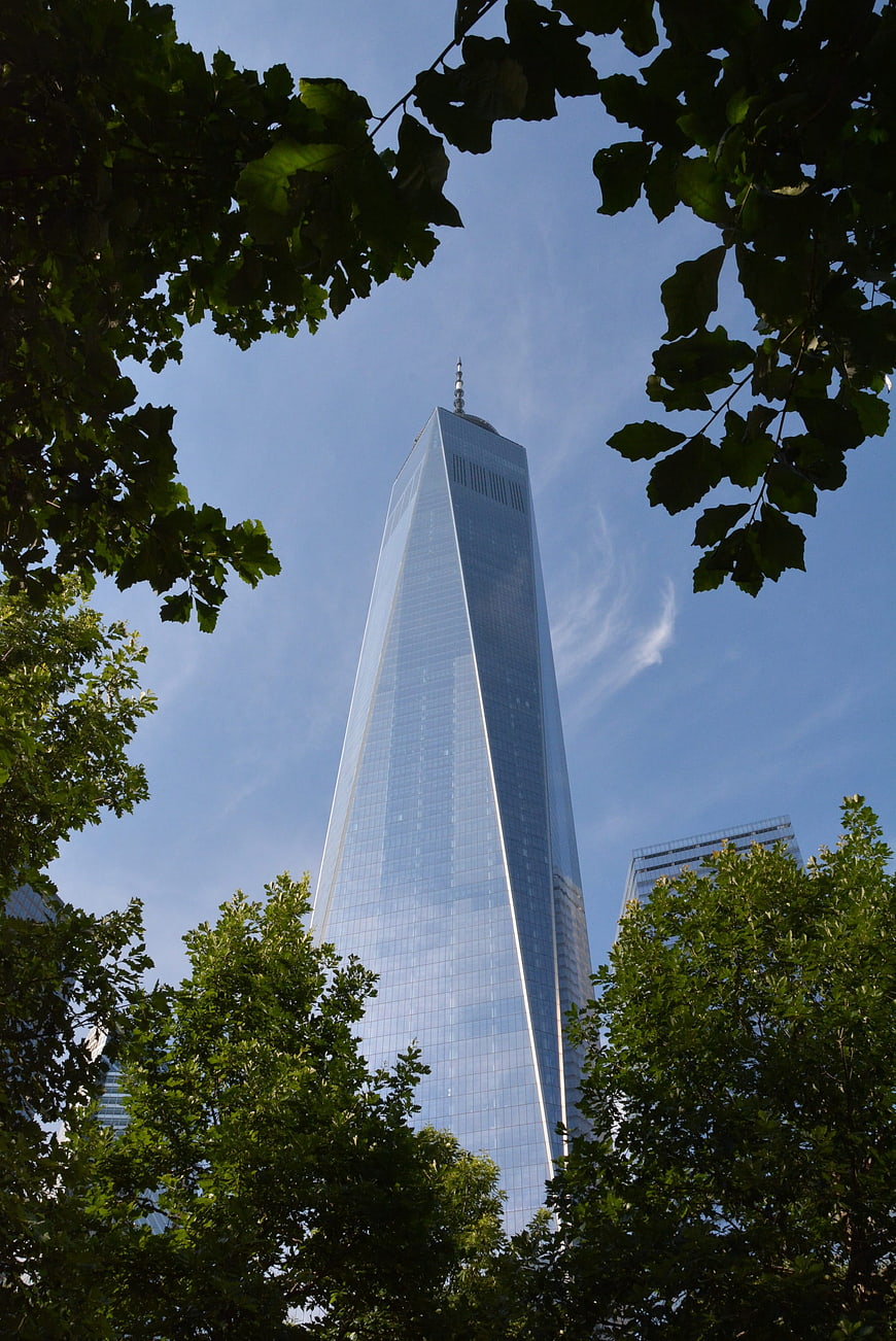 One World Trade Center framed by green trees