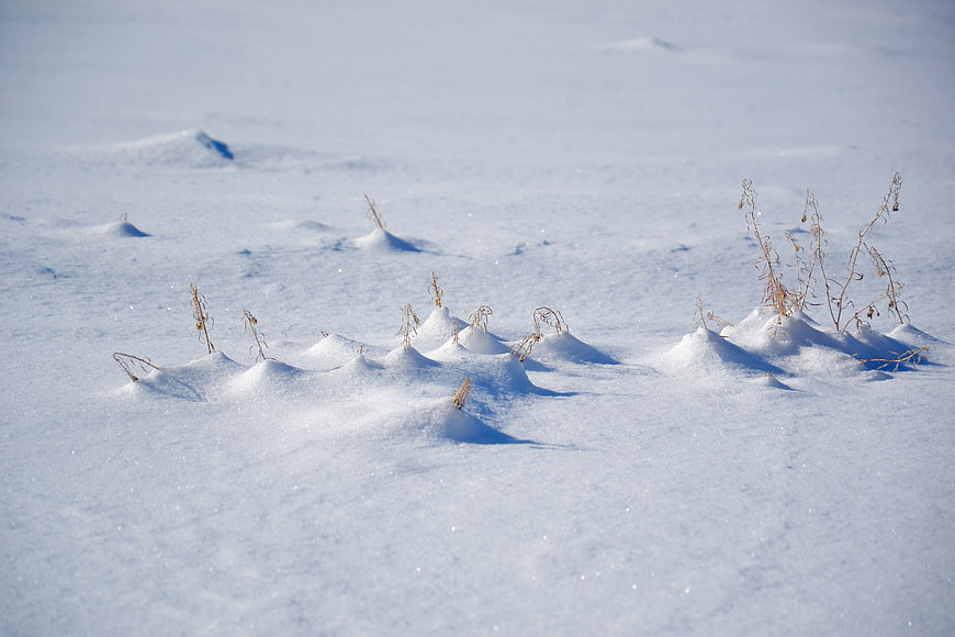 Dry grass poking through snowdrifts in a winter field