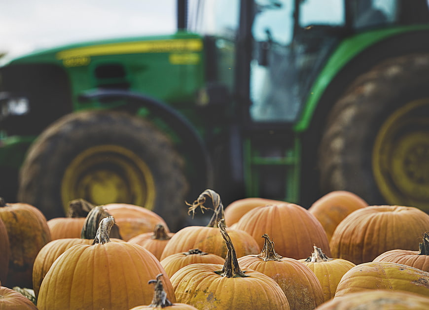 Pumpkins in Foreground with Blurred Green Tractor Background
