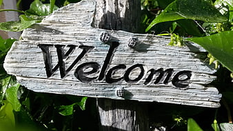 Rustic wooden welcome sign in lush green garden
