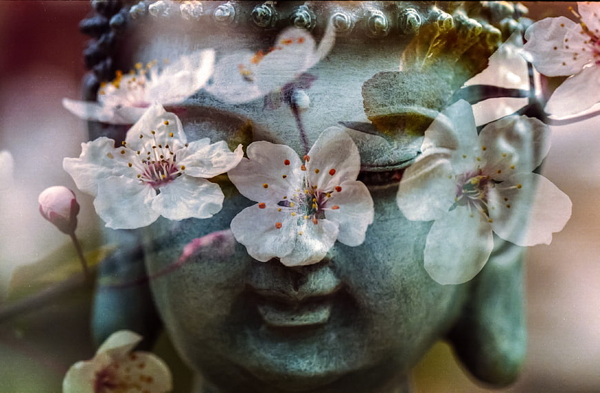 Serene Buddha Statue with Overlapping Cherry Blossoms
