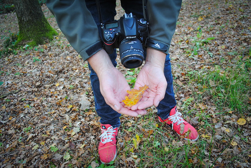 Photographer holding yellow autumn leaf in forest