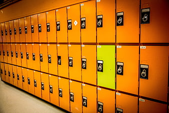 Unique Green Locker in a Row of Orange Lockers