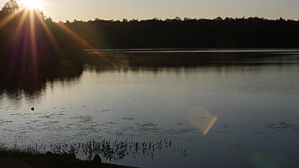Sunrise over calm lake with lens flare and forest silhouette