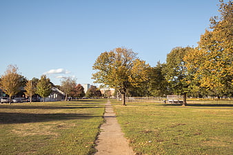 Autumn Park Pathway with Trees and Blue Sky