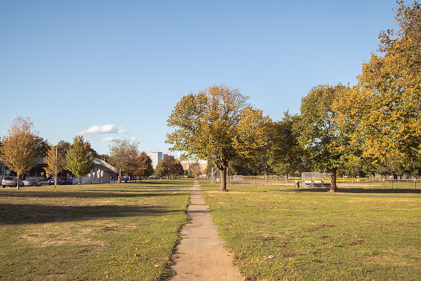 Autumn Park Pathway with Trees and Blue Sky
