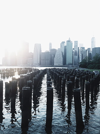 Old Wooden Pilings in Water with City Skyline Background