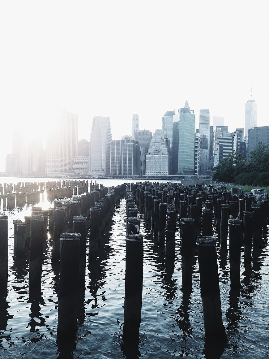 Old Wooden Pilings in Water with City Skyline Background