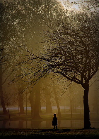 Silhouette of child standing in misty park with golden sunlight