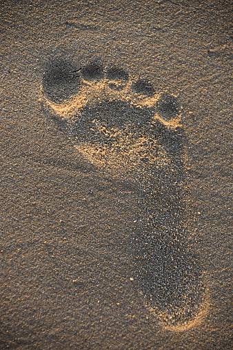 Close-up of a single human footprint in dark wet sand