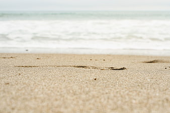 Close-up of sandy beach with blurred ocean waves background