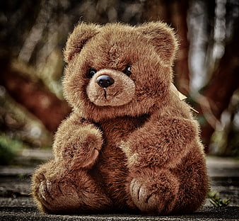 Cute Brown Teddy Bear Sitting Outdoors On Stone Surface