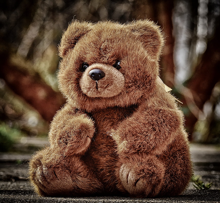Cute Brown Teddy Bear Sitting Outdoors On Stone Surface