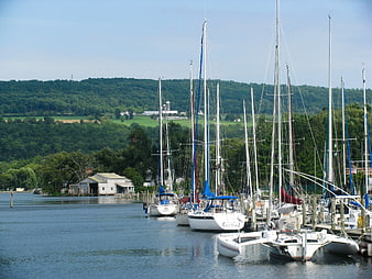 Sailboats docked at a marina with green hills background