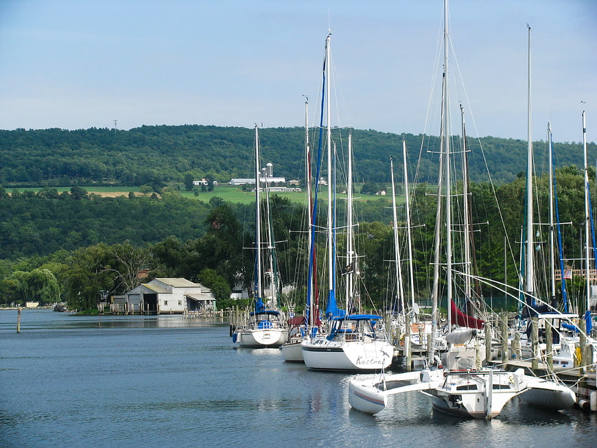 Sailboats docked at a marina with green hills background
