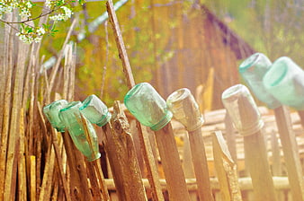 Vintage glass bottles on rustic wooden fence in spring