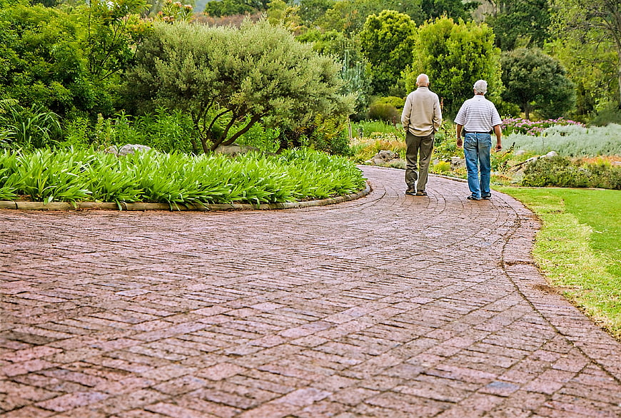 Two elderly men walking on a brick path in a garden