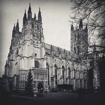 Gothic Cathedral Architecture in Black and White