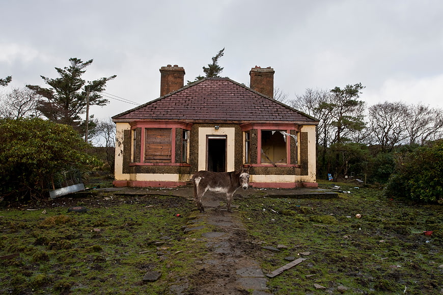 Donkey standing in front of abandoned house