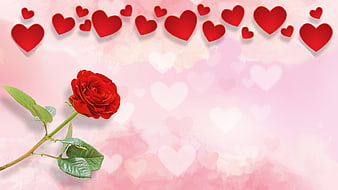 Red Rose and Hearts on Pink Background