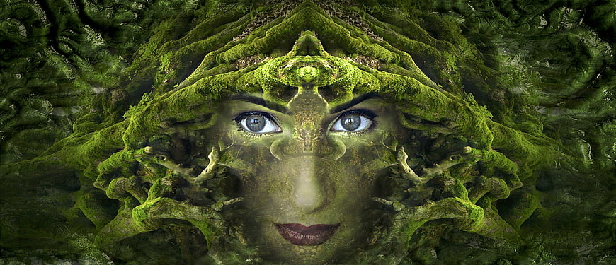 Surreal Portrait of Woman with Moss and Root Headdress