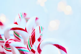 Close-up of Candy Canes with Bokeh Lights and Copyspace