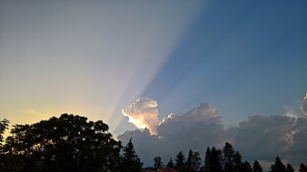 Dramatic Sun Rays Breaking Through Storm Clouds Over Trees
